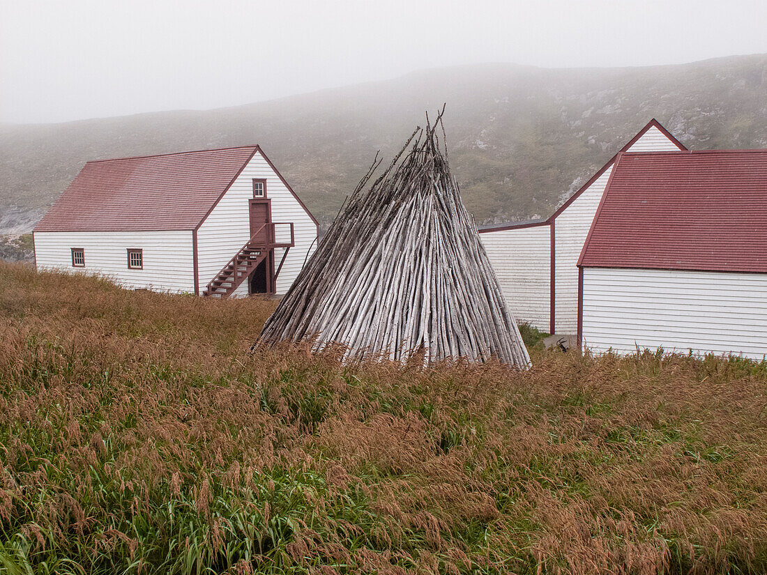 Stack of drying wood in front of buildings in the fishing outpost of Battle Harbour in Atlantic Canada,Battle Harbour,Newfoundland and Labrador,Canada