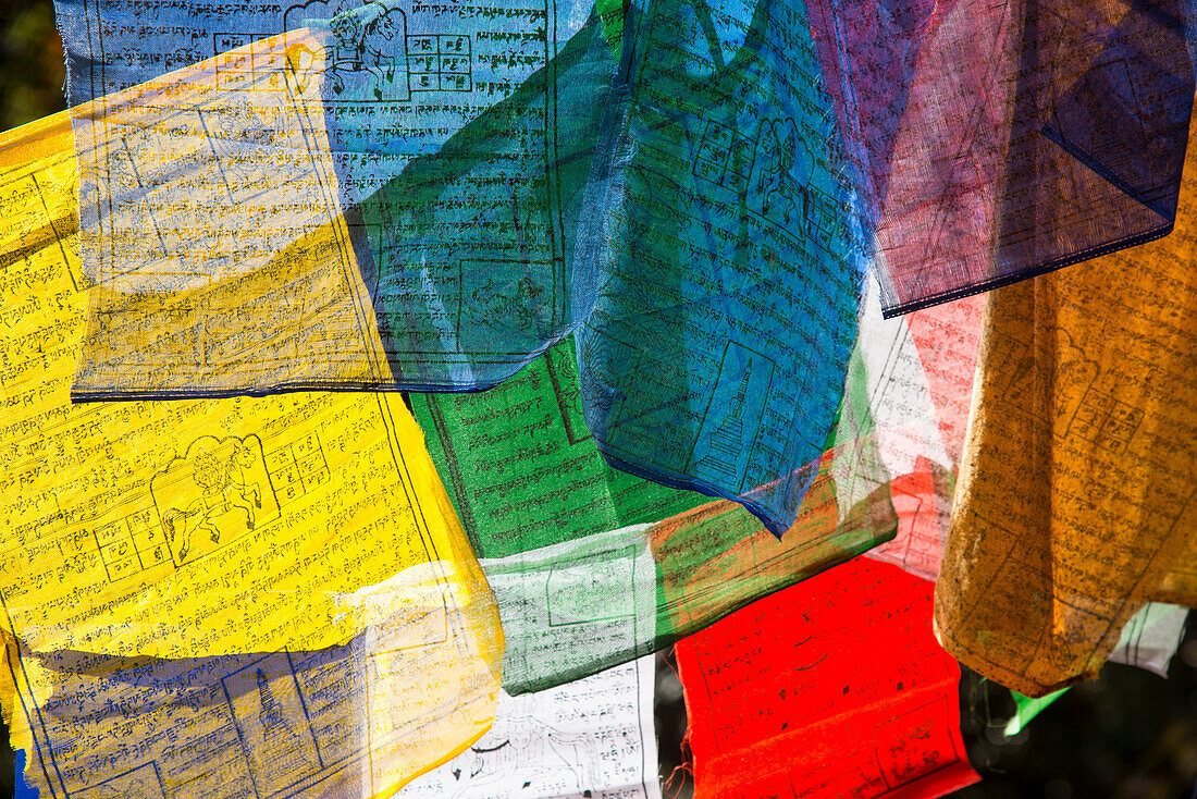 Prayer flags at the Tiger's Nest Monastery,Paro,Bhutan