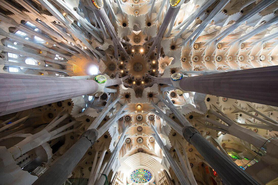 Teil des Deckengewölbes der Kathedrale Sagrada Familia, Barcelona, Spanien