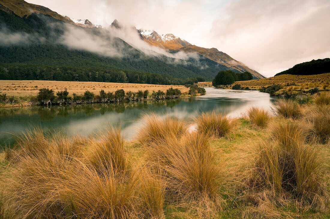 Dry golden grass along the Silverlode river,Mossburn,South Island,New Zealand