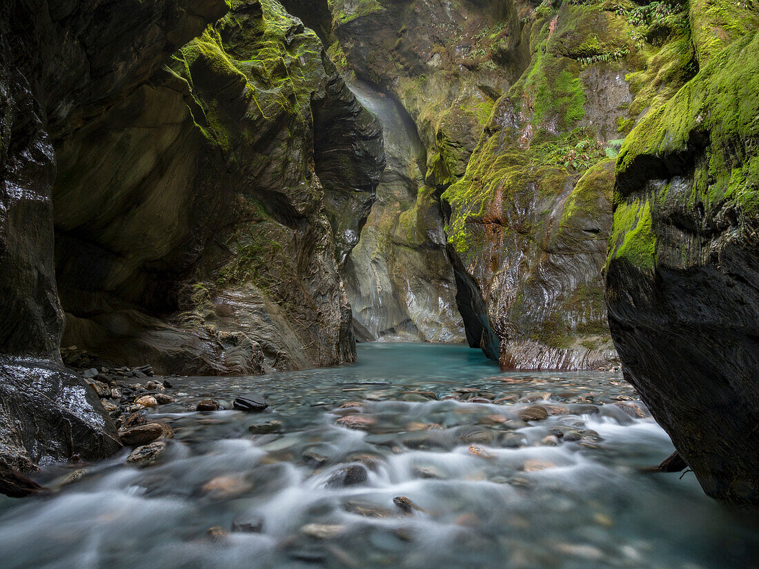 Hidden creek in Mount Aspiring National Park.,Haast,South Island,New Zealand