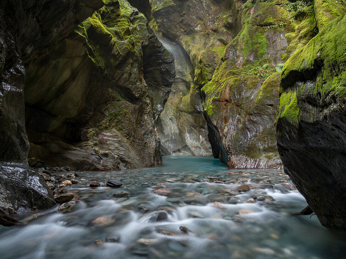 Versteckter Bach im Mount Aspiring National Park, Haast, Südinsel, Neuseeland