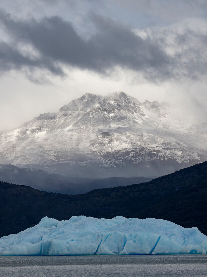 Eisberge vor dem Grey Glacier, der vom südlichen patagonischen Eisfeld im Torres del Paine National Park, Patagonien, Chile, herunterkommt