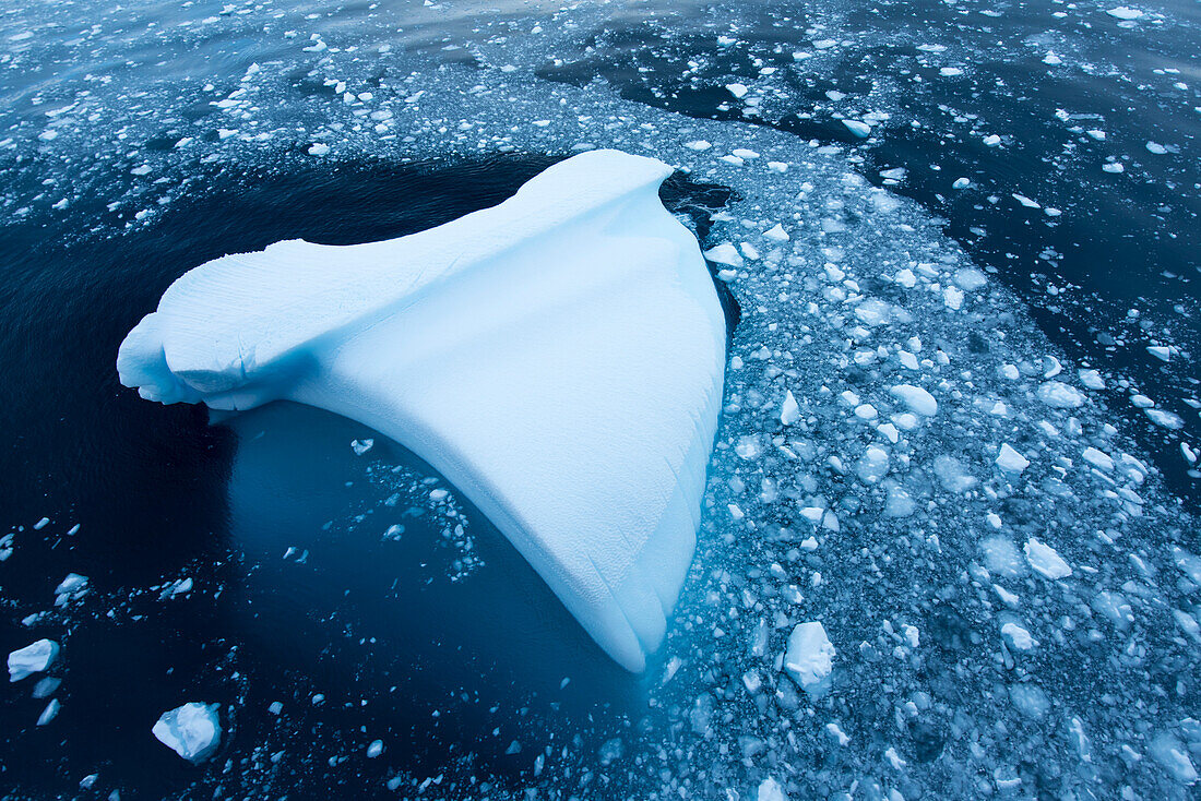 Iceberg on the west side of the Antarctic peninsula,Antarctica