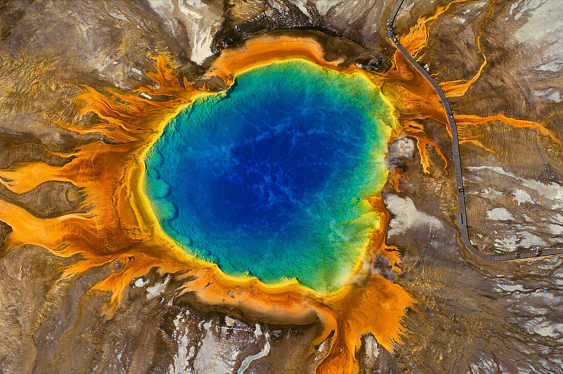 Blick von oben auf die spektakuläre Farbe der Grand Prismatic Spring im Yellowstone National Park,USA,Wyoming,Vereinigte Staaten von Amerika