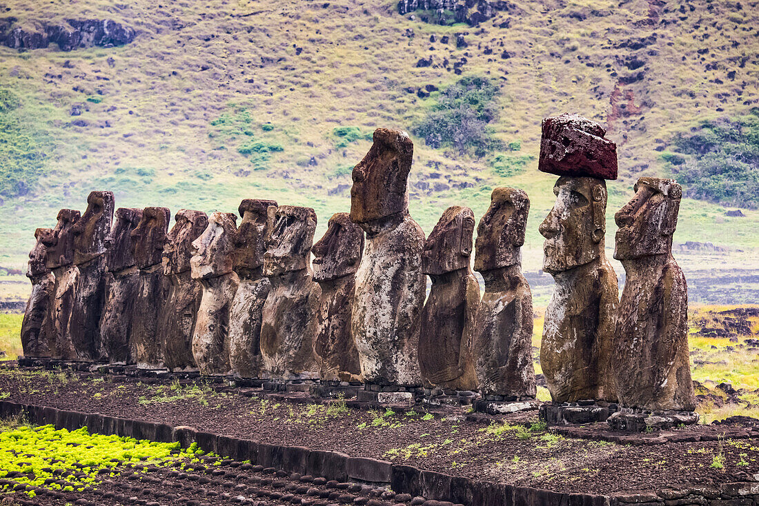 Moai at Rano Raraku Quarry on Easter Island,Hanga Roa,Easter Island,Chile