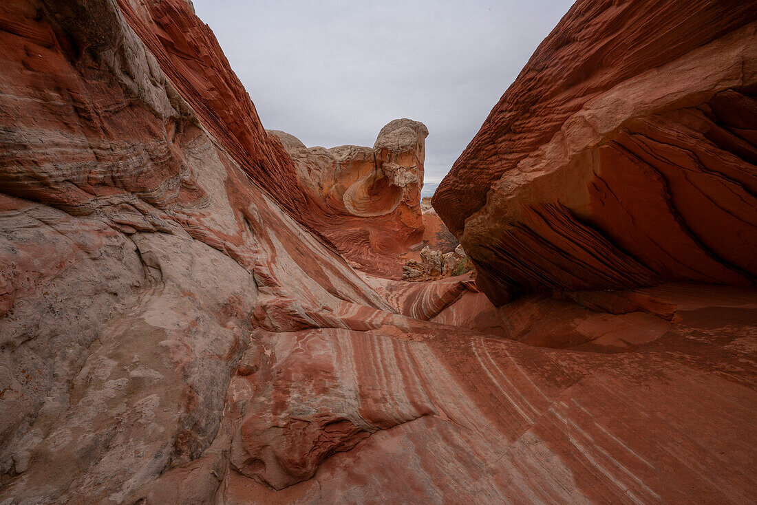 View through streaky rock patterns and hilly,rock formations under a cloudy sky,forming part of the alien landscape of amazing lines,contours and shapes in the wondrous area known as White Pocket,situated in Arizona,Arizona,United States of America