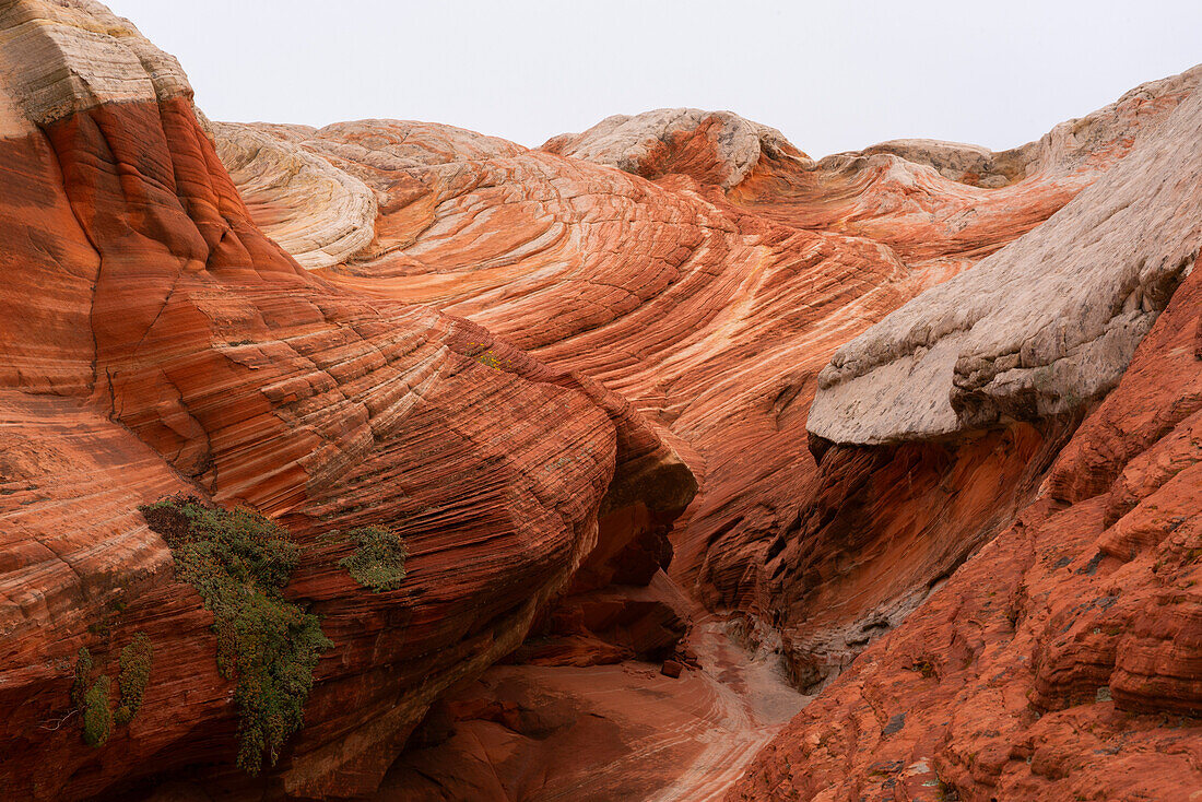 Scenic view of rock formations and steep cliffs with swirling patterns under a cloudy sky,forming part of the alien landscape of amazing lines,contours and shapes in the wondrous area known as White Pocket,situated in Arizona,Arizona,United States of America