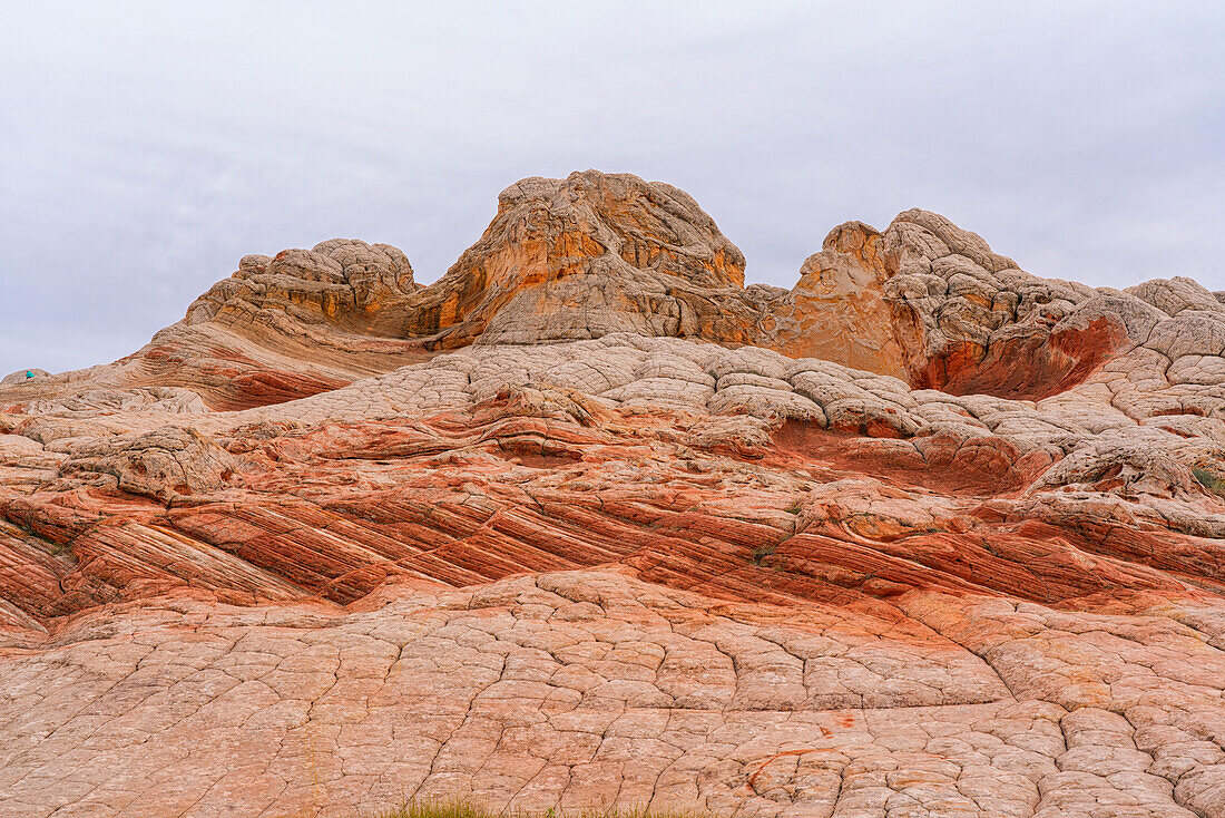 Weitläufige Navajo-Sandsteinfelsen, die als Brain Rocks bezeichnet werden, unter einem bewölkten Himmel in der wundersamen Gegend von White Pocket mit ihren fremdartigen Landschaften aus erstaunlichen Linien, Konturen und Formen, Arizona, Vereinigte Staaten von Amerika