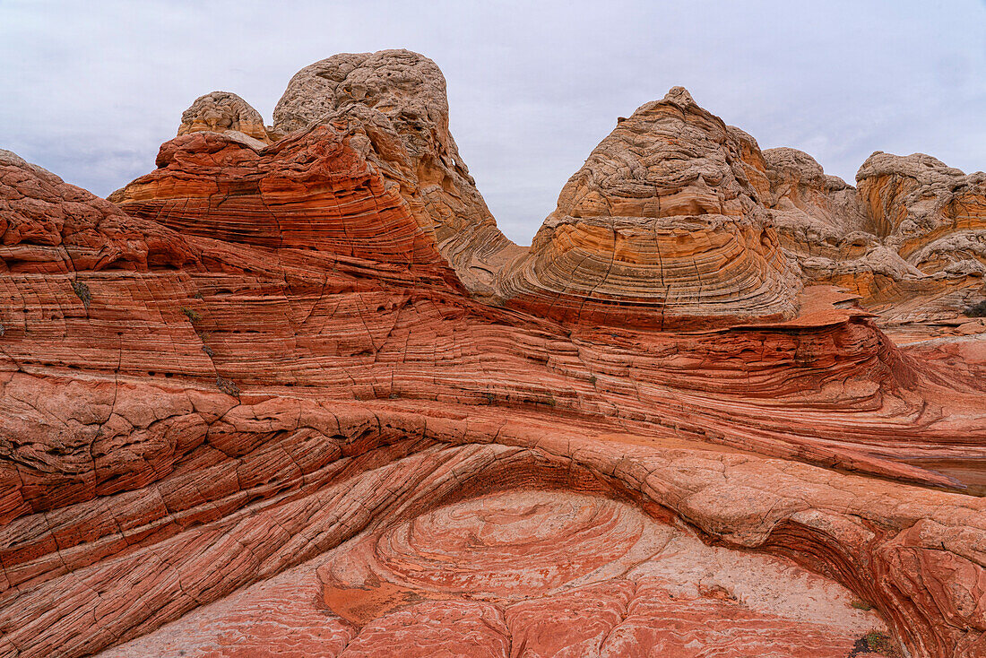 Blick auf den erodierten Navajo-Sandstein, der rote Felsformationen mit zerklüfteten, wirbelnden Mustern bildet, die fremde Landschaften mit erstaunlichen Linien, Konturen und Formen in der wundersamen Gegend von White Rock, Arizona, Vereinigte Staaten von Amerika bilden