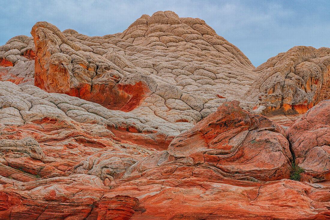 Close-up view of Navajo sandstone rock formations referred to as Brain Rocks under a cloudy sky in the wondrous area of White Pocket with its alien landscapes of amazing lines,contours and shapes,Arizona,United States of America