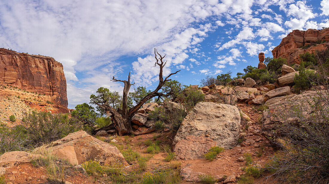 Landschaft des Colorado National Monument in der Nähe von Grand Junction, Colorado. Ein erstaunlicher Ort mit roten Felsen und ein schönes Beispiel für die Erosion, Colorado, Vereinigte Staaten von Amerika