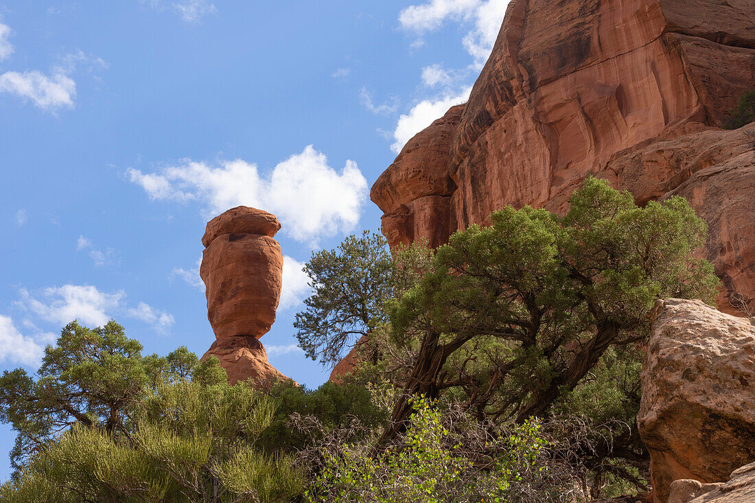 Landscape of Colorado National Monument near Grand Junction,Colorado. It is an amazing place of red rock and a fine example of erosion at work,Colorado,United States of America