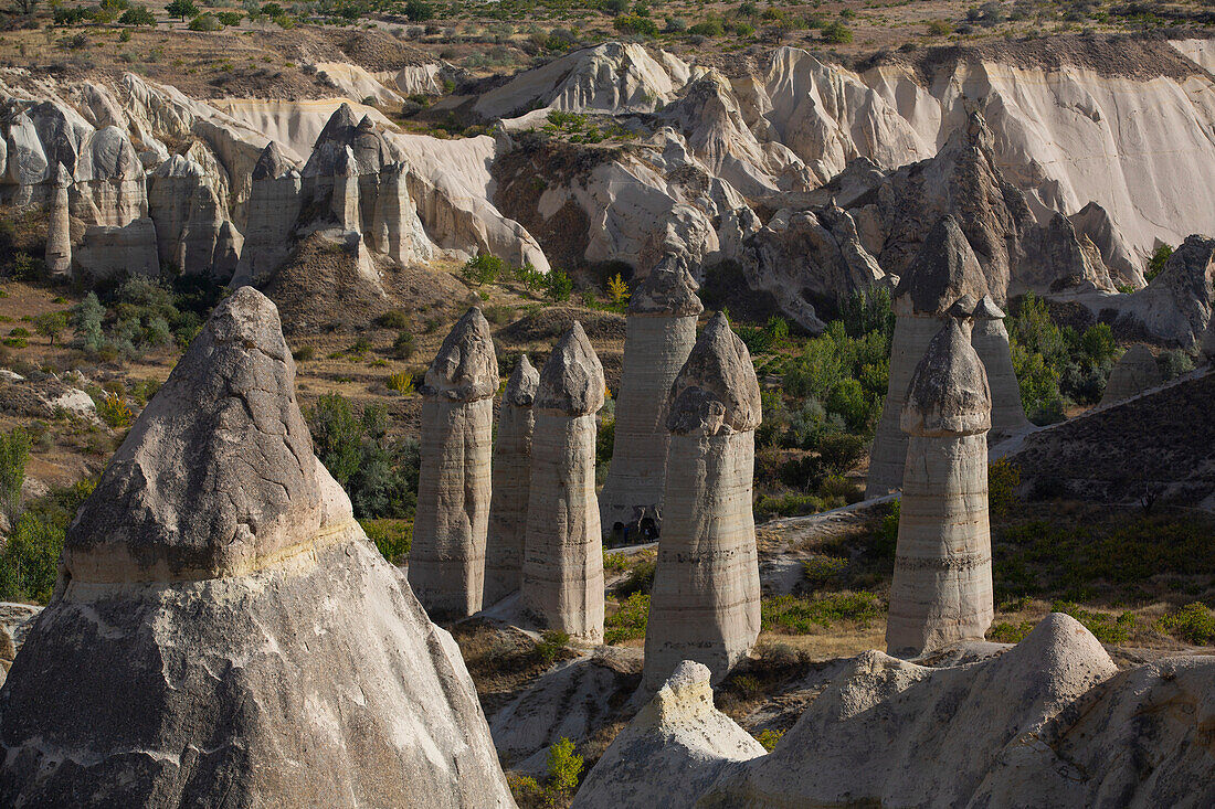 Vulkanische Ascheklippen und Felsformationen, die Fairy Chimneys genannt werden, in der jenseitigen Landschaft des Love Valley in der Nähe von Goreme im Göreme Historical National Park, Region Kappadokien, Provinz Nevsehir, Türkei