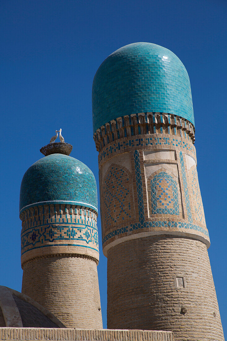 Vögel in einem Korb auf der Chor Minor Madrassa in Buchara, Usbekistan, Buchara, Usbekistan