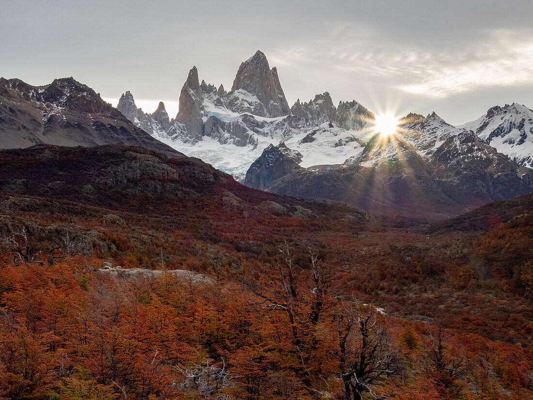 Ausblicke entlang der Tageswanderung zur Laguna Torre mit Herbstfärbung der Südbuchen oder Nothofagus-Bäume im Los Glaciares National Park, El Chalten, Argentinien