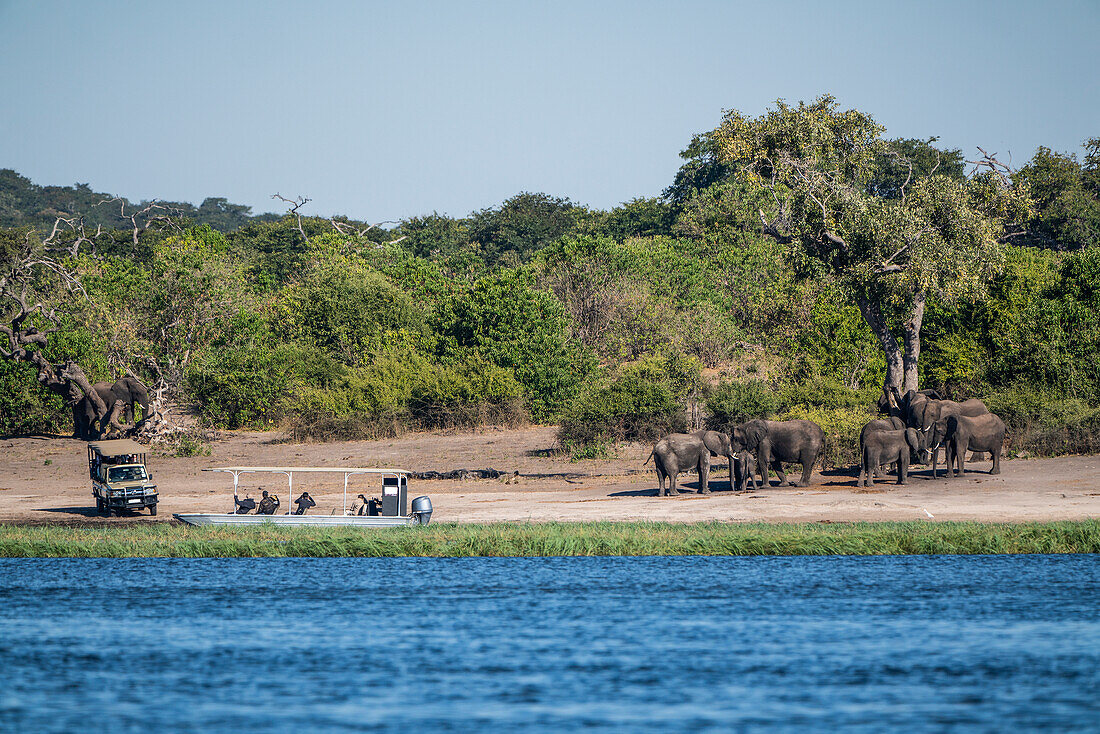 Touristen, die auf einer Safari im Chobe-Nationalpark Elefanten vom Fluss und vom Land aus beobachten, Botswana