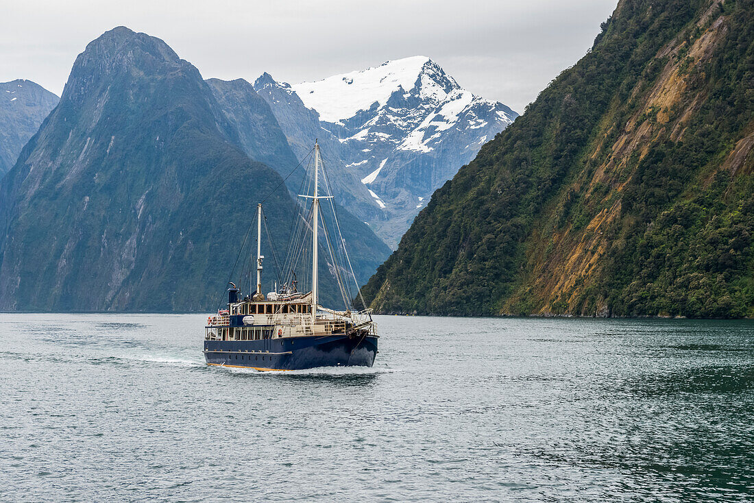 Touristenboot im Fiordland National Park, Milford Sound, Südinsel, Neuseeland