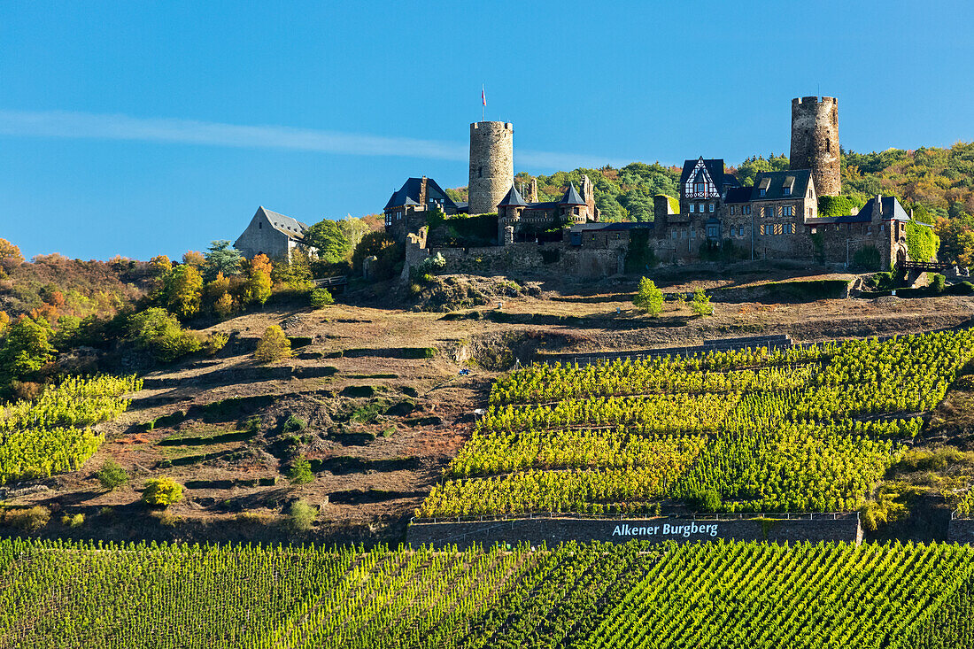 Old stone castle on top of a hill with rows of vineyards along steep slopes with blue sky,Alken,Germany