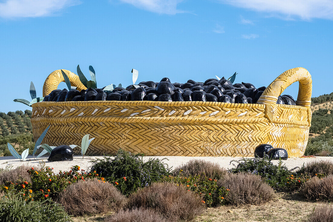 Großer Korb mit schwarzen Oliven als Mittelstück eines Kreisverkehrs, El Saucejo, Sevilla, Andalusien, Spanien