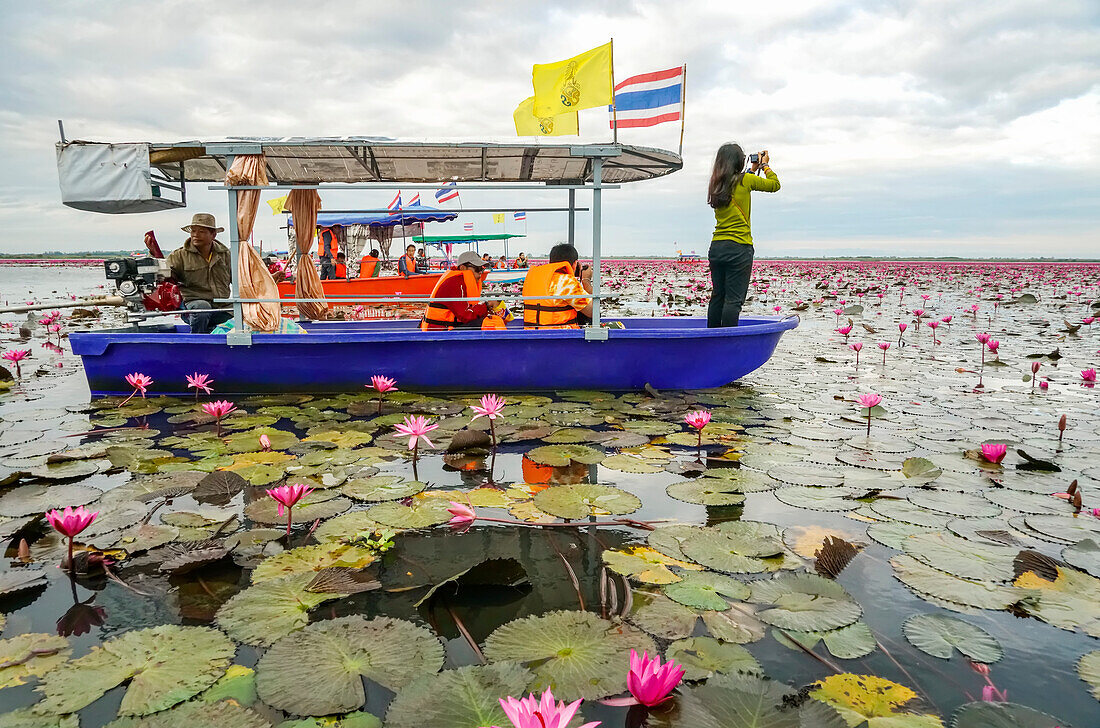 Touristen auf dem Meer des Roten Lotus, Thailand