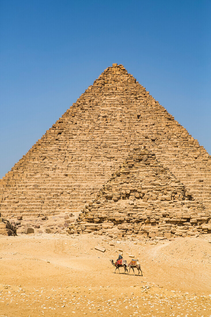 Einheimischer mit Kamelen, Große Pyramide von Gizeh, Pyramidenkomplex von Gizeh, UNESCO-Welterbe, Gizeh, Ägypten