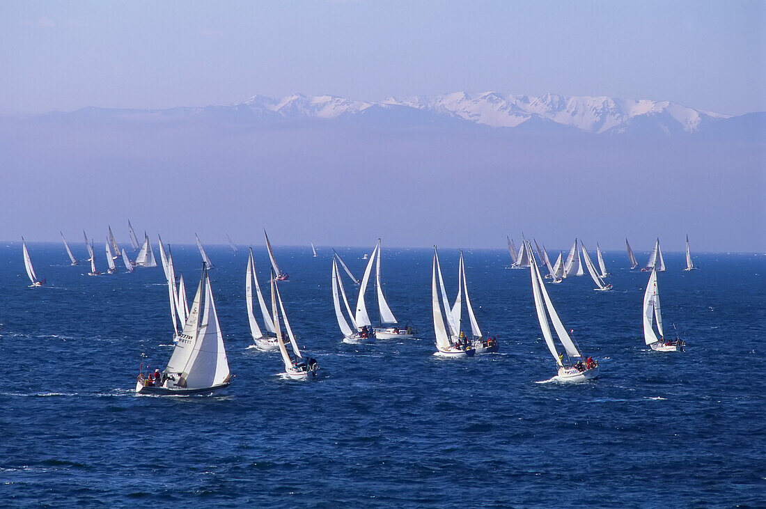 Swiftsure Yacht Race Victoria,British Columbia Canada