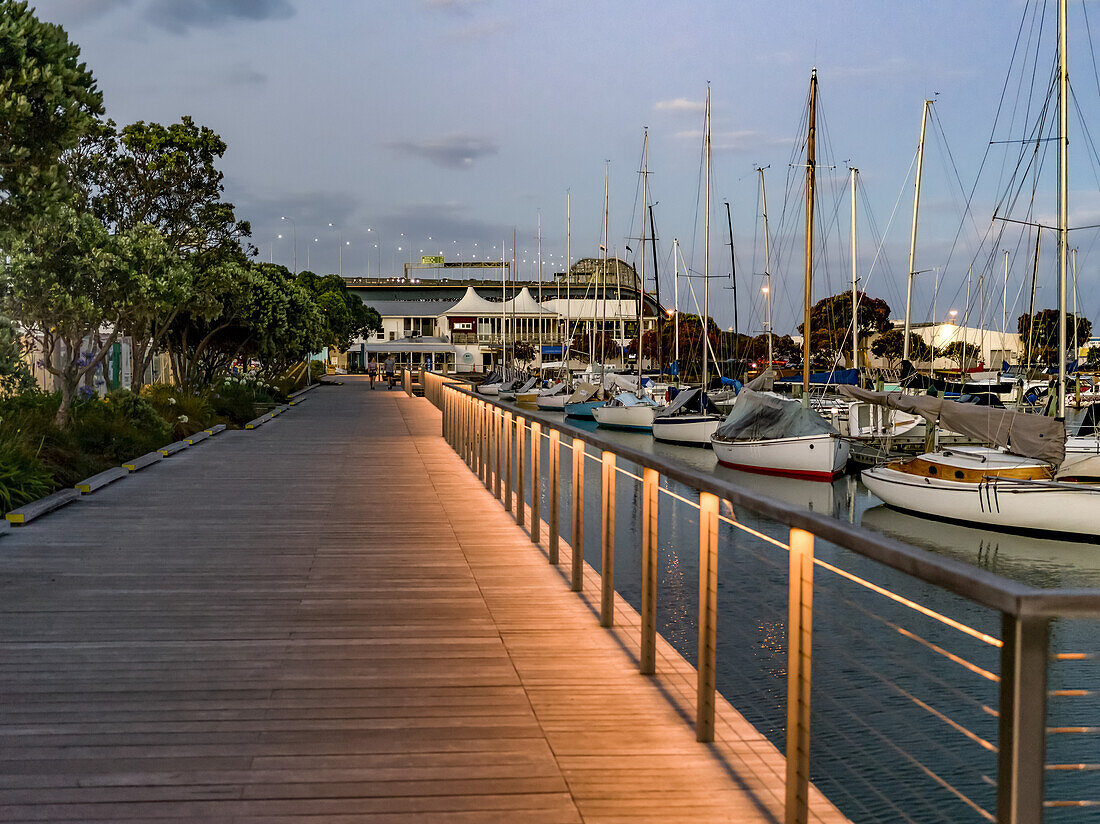 Segelboote in einem ruhigen Hafen bei Sonnenuntergang, Auckland, Region Auckland, Neuseeland