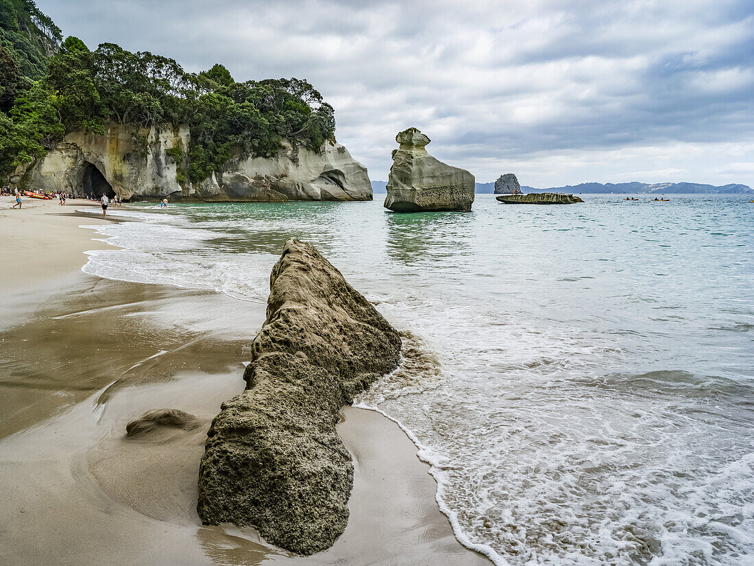 Accessible only on foot or by boat,famous Cathedral Cove is one of the must visit sites on The Coromandel. Swimmers enjoy the beach and playing in the water,Waikato Region,New Zealand