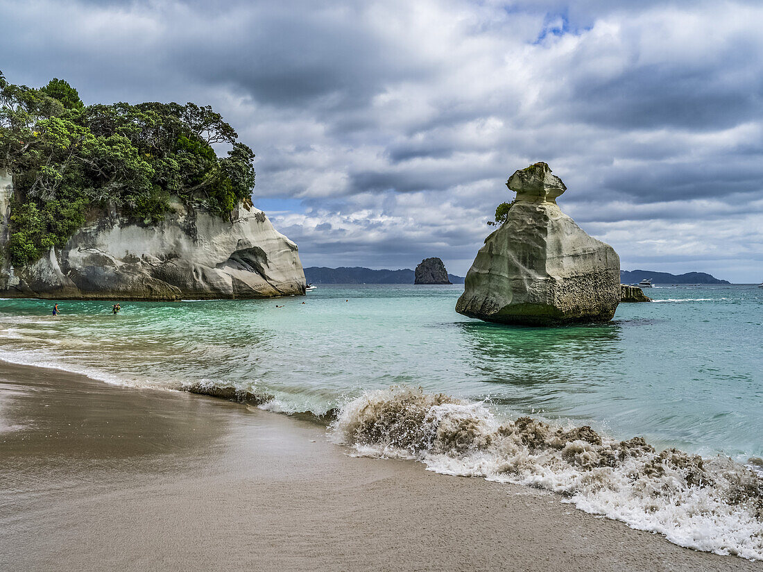 Accessible only on foot or by boat,famous Cathedral Cove is one of the must visit sites on The Coromandel. Swimmers enjoy the beach and playing in the water,Waikato Region,New Zealand