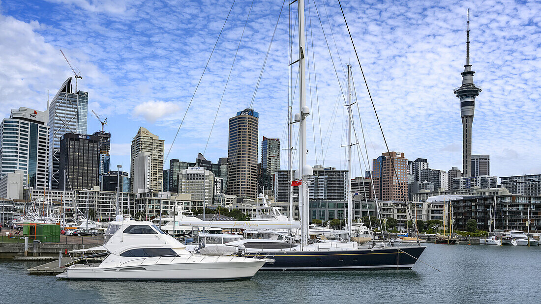 Yachts and sailboats in the harbour of Auckland,with a view of the Sky Tower and Central Business District,Auckland,Auckland Region,New Zealand