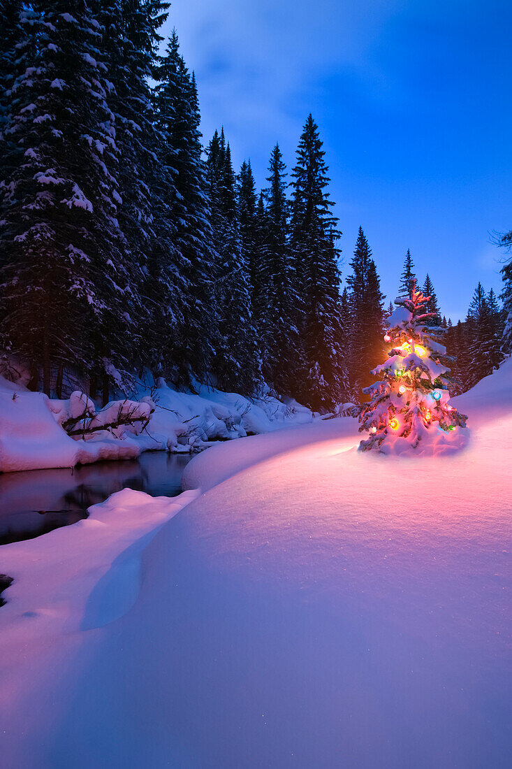 Ein immergrüner Baum ist mit Weihnachtsbeleuchtung in einer Schneelandschaft an einem ruhigen Fluss und Wald in den Rocky Mountains, British Columbia, Kanada, beleuchtet