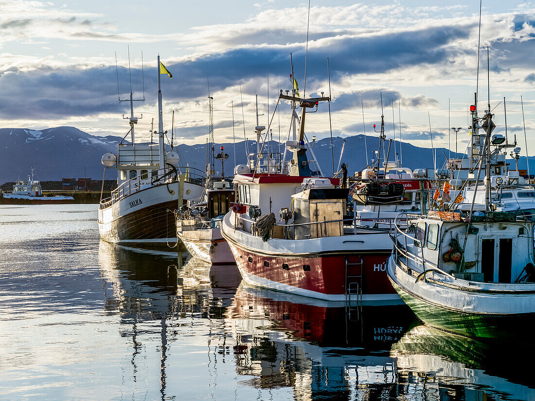 Fischerboote im Hafen von Husavik,Nordurthing,Nordöstliche Region,Island