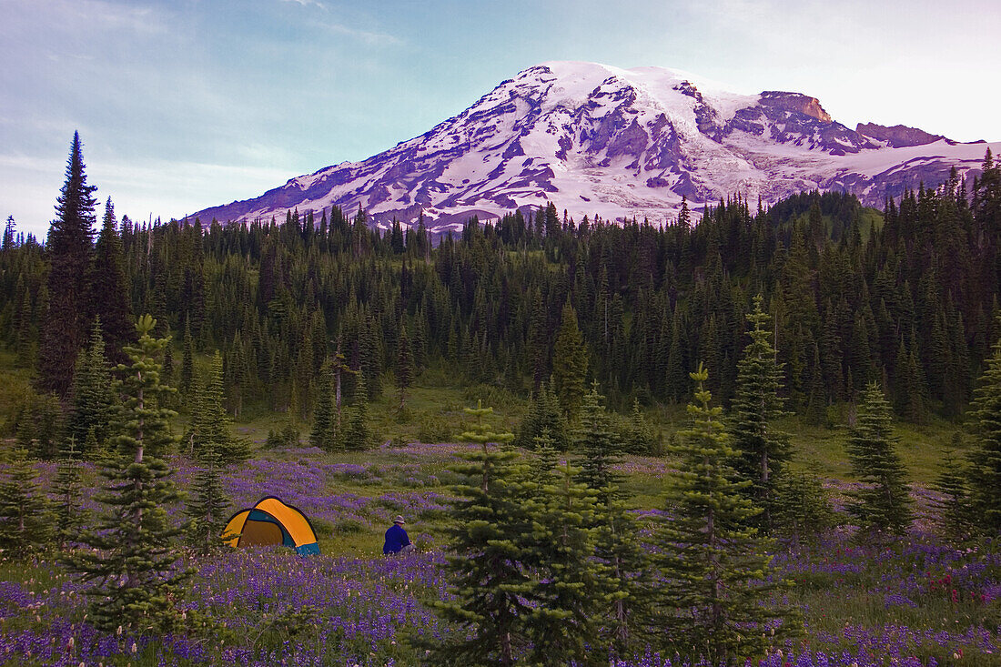 A camper sits by his tent at the base of Mount Rainier and views the forest and beauty of the rugged mountain,Mount Rainer National Park,Washington,United States of America