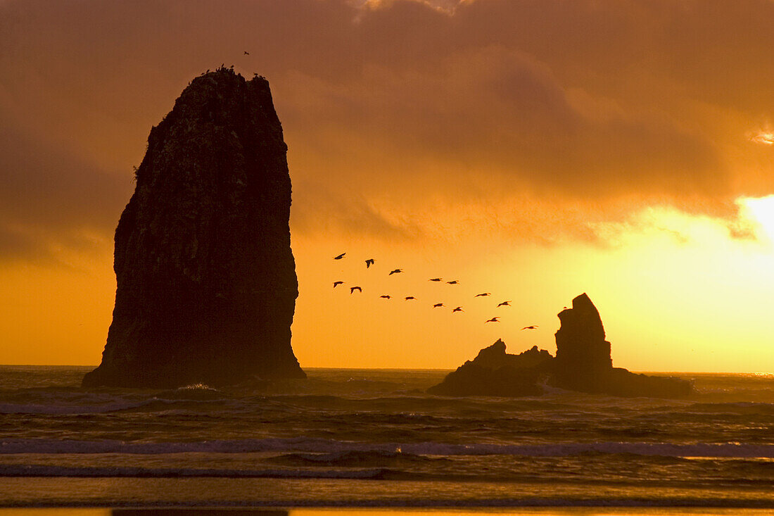 Silhouettierte Seeberge und ein Vogelschwarm, der bei Sonnenuntergang über den pazifischen Ozean in Cannon Beach fliegt, Oregon Küste, Cannon Beach, Oregon, Vereinigte Staaten von Amerika