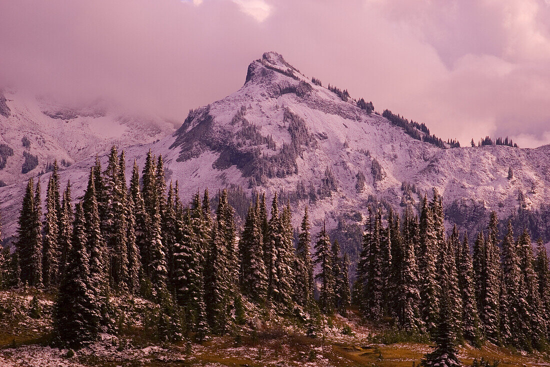 Gipfel des Mount Rainer bei Sonnenuntergang, Mount Rainier National Park, Washington, Vereinigte Staaten von Amerika