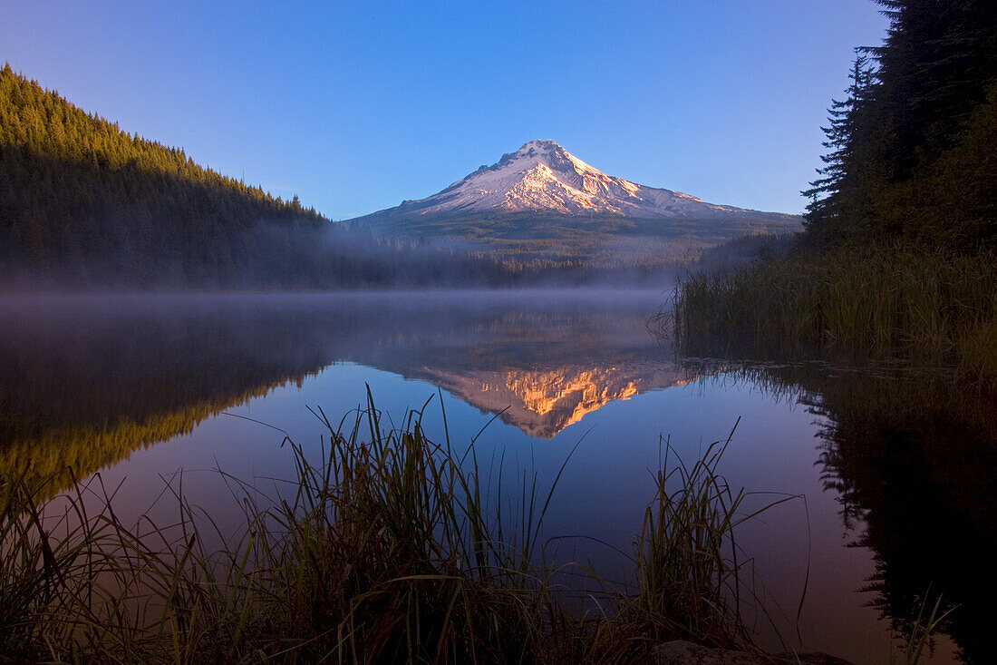 Mount Hood spiegelt sich in einem ruhigen Trillium Lake bei Sonnenaufgang mit aufsteigendem Nebel über der Wasseroberfläche, Mount Hood National Forest, Oregon, Vereinigte Staaten von Amerika