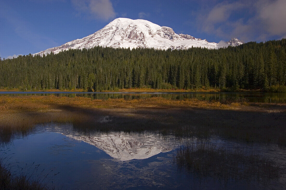 Spiegelbild von Mount Rainier und Wald, der sich in einem See spiegelt, Mount Rainier National Park, Washington, Vereinigte Staaten von Amerika
