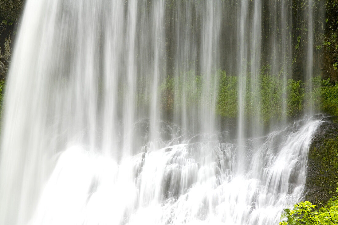 Wasserfälle im Silver Falls State Park,Oregon,Vereinigte Staaten von Amerika