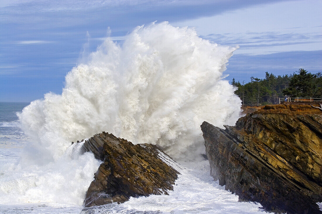 Mächtige Welle, die sich im Shore Acres State Park an den Felsen bricht, während Touristen an einem Aussichtspunkt stehen und das heftige Plätschern beobachten, Küste von Oregon, Oregon, Vereinigte Staaten von Amerika