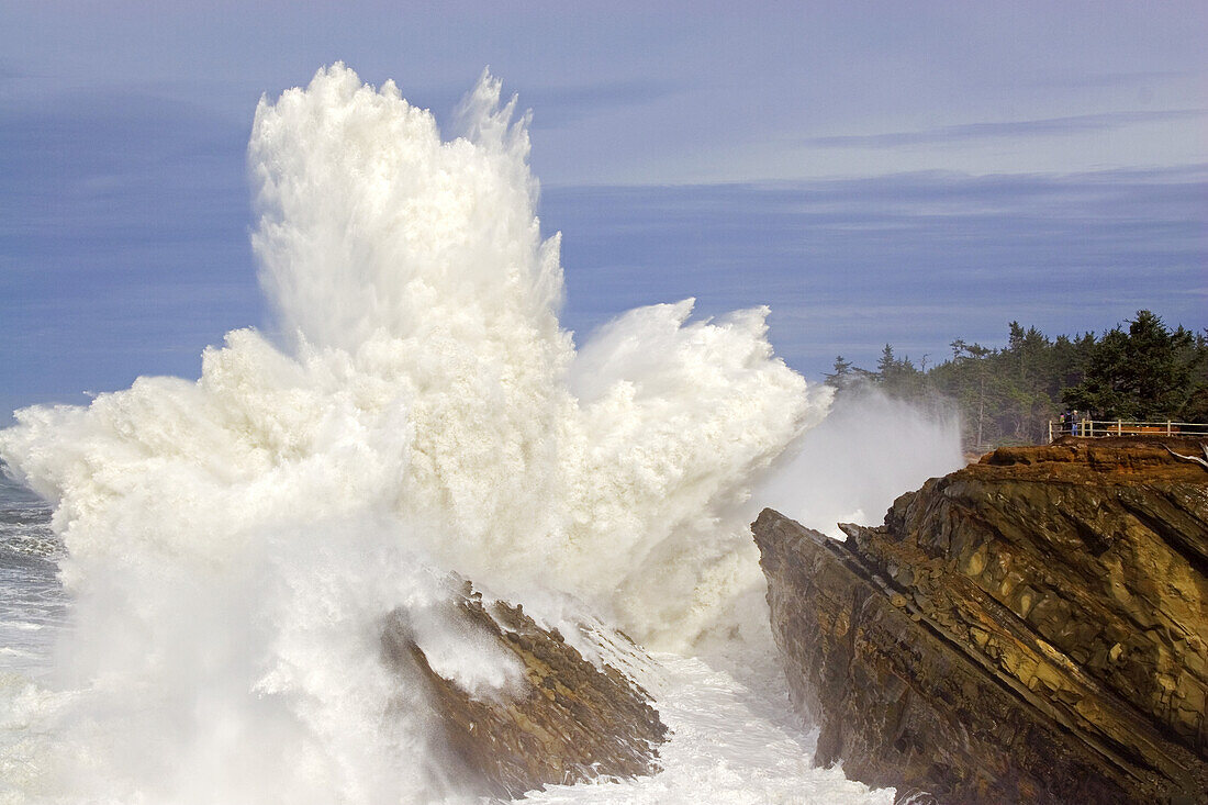 Powerful wave breaking against the rocks at Shore Acres State Park as tourists stand at a lookout point watching the intense splash,Oregon coast,Oregon,United States of America