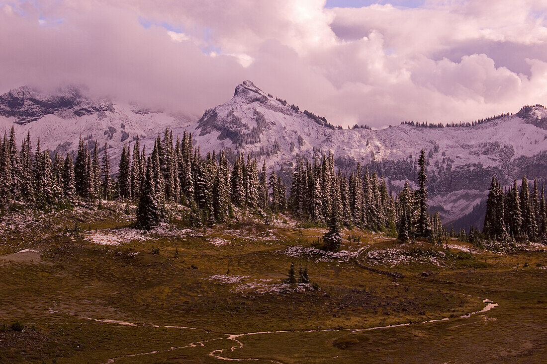 Mount Rainier covered in snow at sunset,Mount Rainier National Park,Washington,United States of America