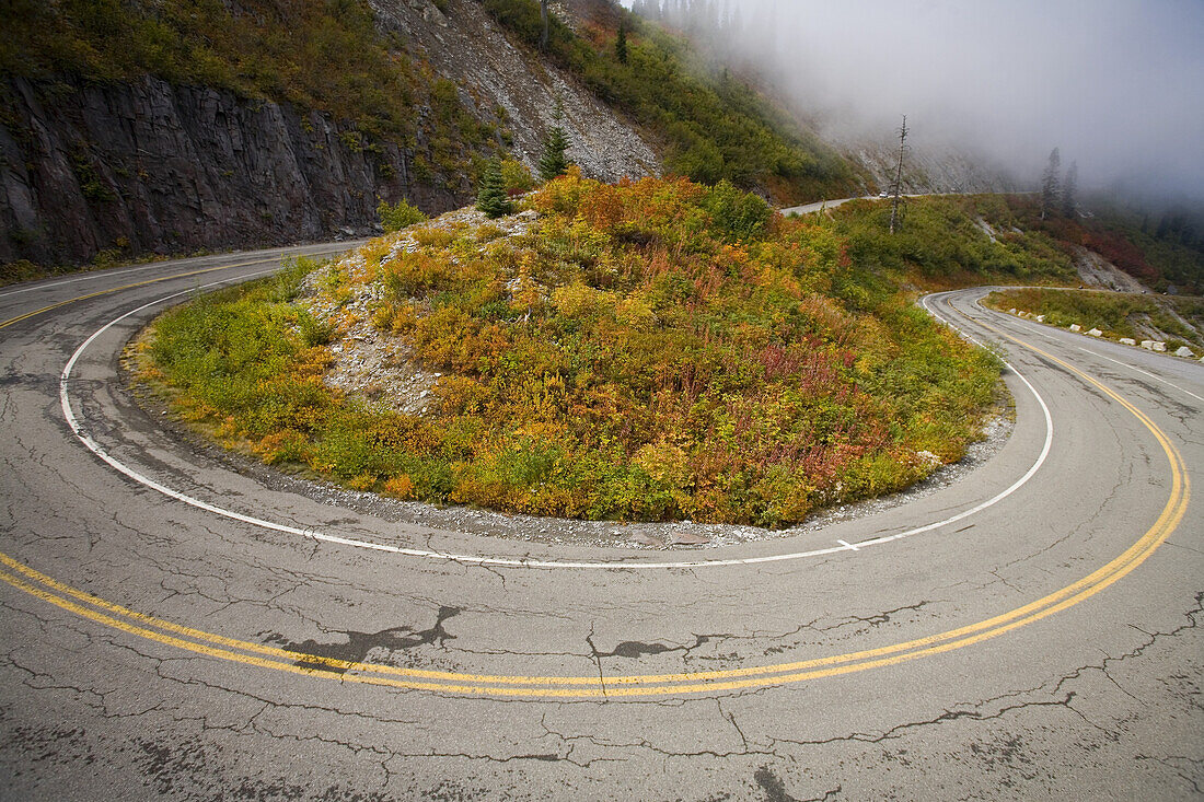 Kurvenreiche Straße mit Serpentinen in den Bergen mit Nebel und herbstlichem Laub, Mount Rainier National Park, Washington, Vereinigte Staaten von Amerika