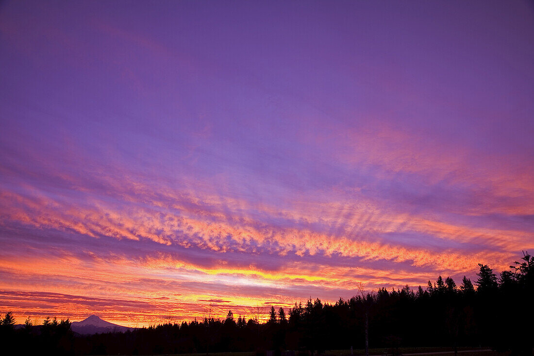 Glowing clouds in a beautiful sunrise over a silhouetted forest,and the peak of Mount Hood in the distance,Pacific Northwest,Oregon,United States of America