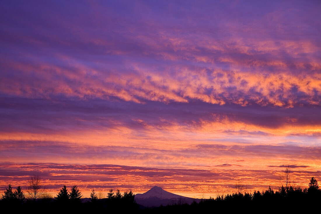 Glühende Wolken in einem schönen Sonnenaufgang über einem silhouettierten Wald und dem Gipfel des Mount Hood in der Ferne, Pazifischer Nordwesten, Oregon, Vereinigte Staaten von Amerika