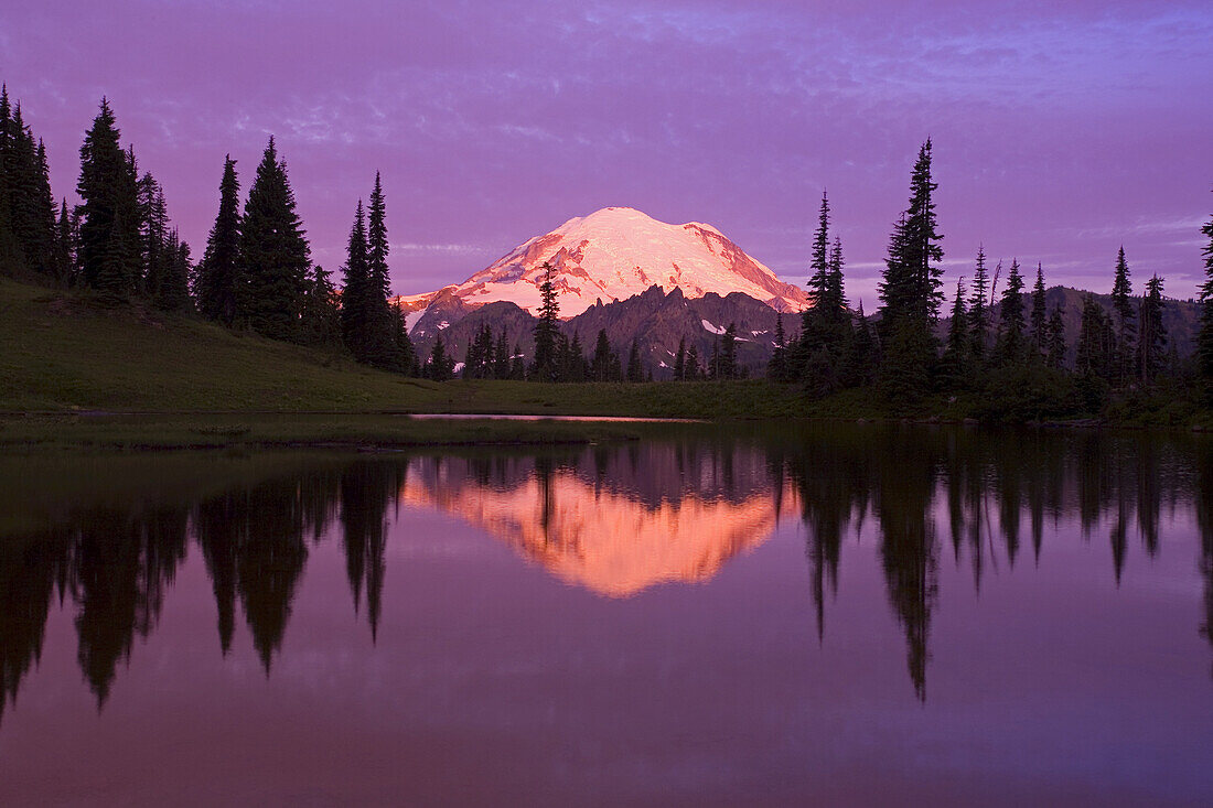 Mirror image of Mount Rainier and forest reflected in Tipsoo Lake at sunrise,Mount Rainier National Park,Washington,United States of America