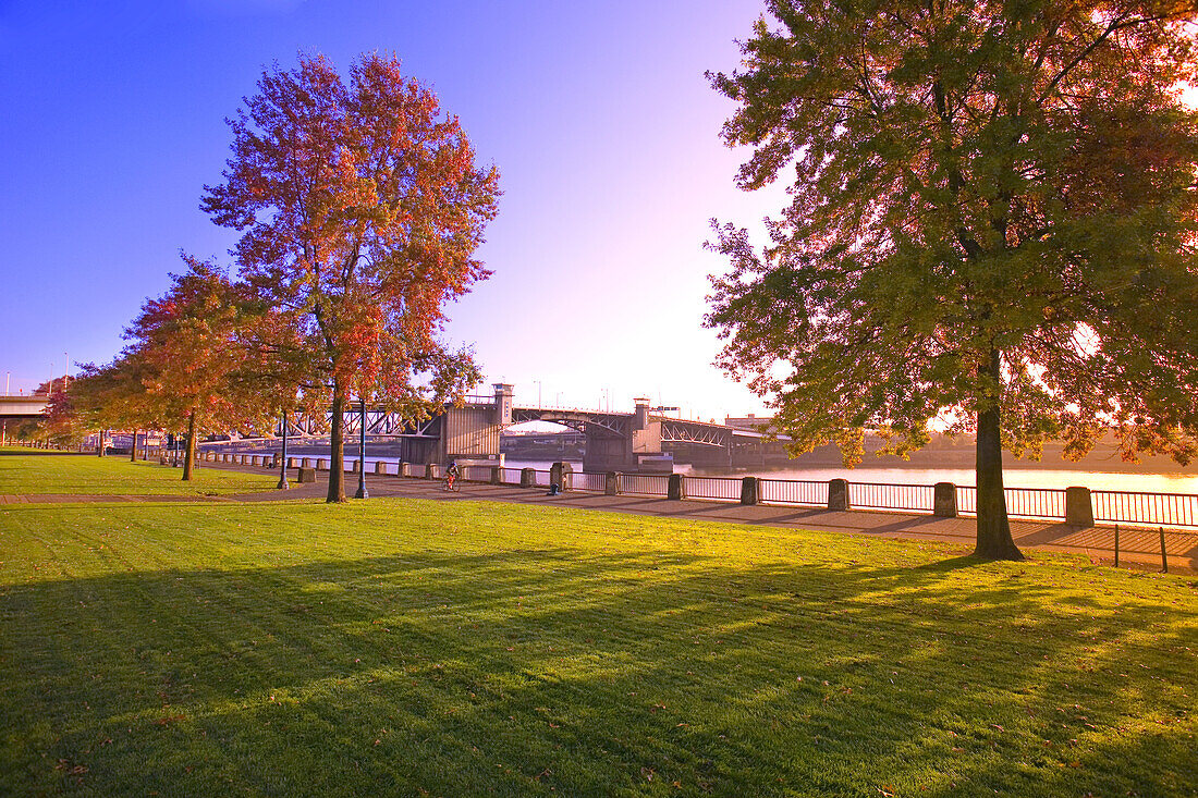 Morrison Bridge über den Willamette River, von einer Parkanlage am Wasser aus gesehen, Portland, Oregon, Vereinigte Staaten von Amerika