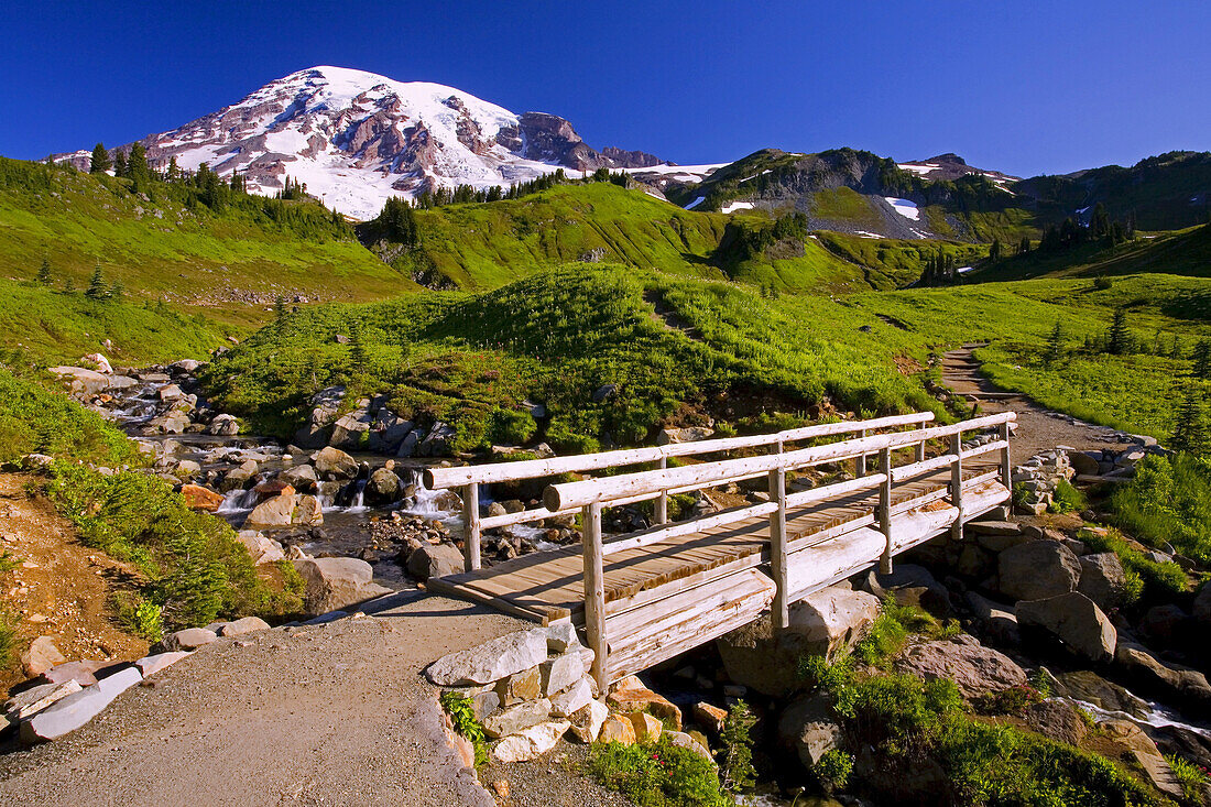 Footbridge over a stream in Mount Rainier National Park,Washington,United States of America