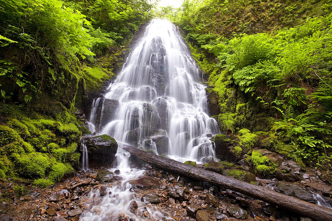 Wasserfall, der einen felsigen Abhang im üppigen Laub eines Waldes hinabstürzt,Columbia River Gorge,Oregon,Vereinigte Staaten von Amerika