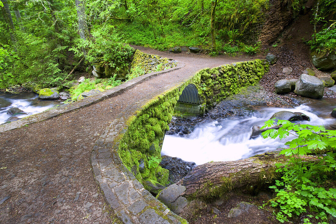 Fließender Fluss durch einen Durchlass unter einem Weg in der Columbia River Gorge,Oregon,Vereinigte Staaten von Amerika